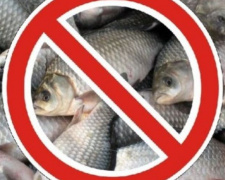 В Донецкой области введен временный запрет на вылов рыбы
