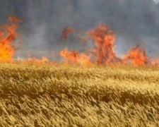 Огонь уничтожил  почти 10 гектаров зерна в полях Донецкой области