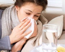 В Украине пик заболеваемости гриппом и ОРВИ ожидают в конце января