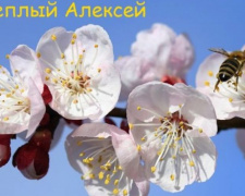 Православные авдеевцы отмечают сегодня День Теплого Алексея