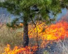 Теплая и сухая осень: в Донецкой области за сутки вспыхнуло более десятка пожаров
