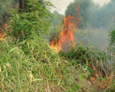 Пожары продолжают бушевать на открытых территориях в Донецкой области