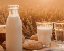 В Украине не контролируется качество молока