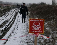 Пиротехники обезопасили Донецкую области от 30 взрывов: уничтожены артснаряды и мины