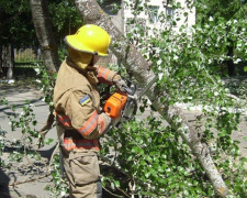 Удар стихии: на Донбассе сражались с поваленными деревьями