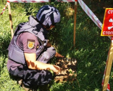 Более 870 взрывоопасных предметов уничтожили за неделю в Донбассе