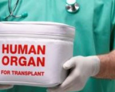 В Украине заработала система трансплантации органов и тканей