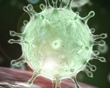 В Украине продолжает расти число зараженных коронавирусной инфекцией