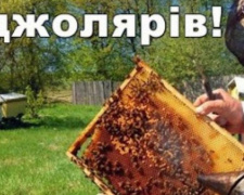 Авдіївськи пасічники можуть отримати дотацію за бджолосім&#039;ї