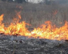 Более 40 пожаров под открытым небом произошло на Донетчине
