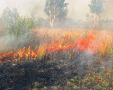 Лето в разгаре: пожары не отступают от Донецкой области