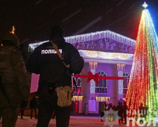 Празднование Нового года в Донецкой области обошлось без криминала