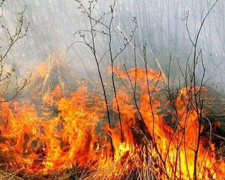 Многочисленные пожары ежедневно вспыхивают на Донетчине из-за жары и прогноз неутешительный