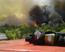 В Донецкой области пожар за пожаром: горят поля, леса, дачи (ВИДЕО)