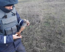 В Донецкой области уничтожили снаряды, мины и гранату