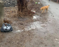 Безвідповідальні мешканці Авдіївки залишають сміття посеред  вулиць