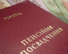 Названы украинские министерства, которые крадут пенсии ВПЛ и жителей ОРДЛО