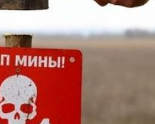 Три человека погибли на Донбассе за месяц из-за взрывоопасных предметов