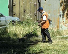 Коммунальщики Авдеевки борются с карантинными растениями