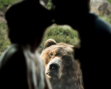 Эмоциональный медведь попал на свадебные фото