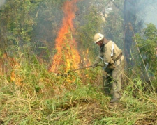 Донетчина: пожаров на открытых территориях стало больше