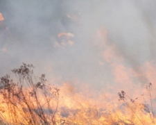 Донецкая область охвачена огнем, опасность не снижается