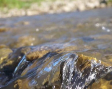 В Донецкой области в режиме онлайн будут отслеживать качество воды в реках