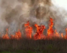 Из-за &quot;бабьего лета&quot; и беспечности людей в Донецкой области продолжают бушевать пожары
