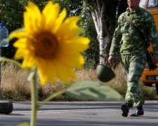 ТКГ не договорилась о прекращении огня на Донбассе
