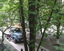 В Авдеевке ведутся работы по санитарной обрезке деревьев (ФОТОФАКТ)