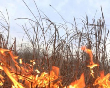 В Донецкой области из-за жары продолжаются пожары и прогнозы не радуют