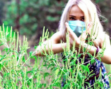 Власти Авдеевки призывают предпринимателей бороться с сорняками и карантинными растениями