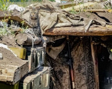 У Авдеевки погиб пес, проложивший через мины путь для украинских разведчиков