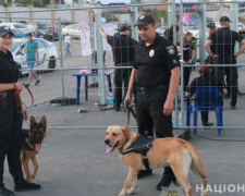 Собаки раскрыли в Донецкой области сотни преступлений