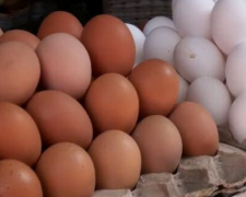 Яйца категорически нельзя хранить в холодильнике