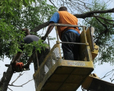 В частном секторе Авдеевки завершаются работы по обрезке деревьев