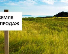 Рынок земли: сколько будет стоить гектар в Украине