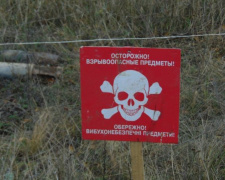 Пиротехники  за день очистили территорию Донетчины от 50 артснарядов, 6 мин  и 13 гранат