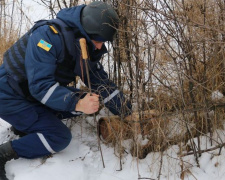 Пиротехники обезопасили Донецкую область от 70 возможных взрывов
