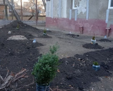 Жители ОСМД «Юбиляр-Авдеевка» продолжают обустраивать придомовую территорию в рамках конкурса социальных проектов (ФОТОФАКТ)