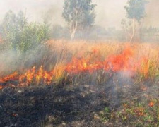 Пожарная опасность: тревожные новости из Донецкой области