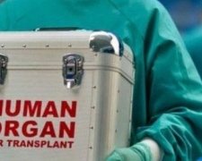 В Украине узаконили трансплантацию
