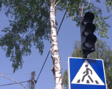 В Авдеевке некому починить светофор (ФОТО)