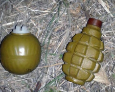 В Авдеевке гранаты спрятали в дупло (ФОТО)