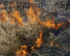 Огненная волна: горели 6 районов и 4 города Донетчины