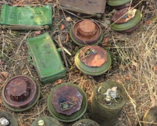 В Донецкой области обнаружен крупный тайник боеприпасов и взрывчатки (ФОТО)