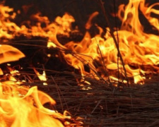 В Донецкой области из-за жары растет число пожаров в природных экосистемах