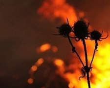 Уровень пожароопасности в  Донецкой области остается чрезвычайно высоким