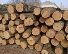 Пільговій категорії населення Авдіївки видадуть дрова для пічного опалення 