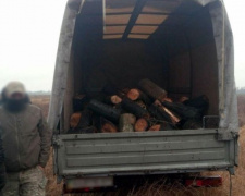 Полицейские выявили трех &quot;черных лесорубов&quot; из Авдеевки  (ФОТО)